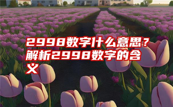 2998数字什么意思？解析2998数字的含义