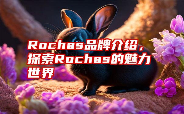 Rochas品牌介绍，探索Rochas的魅力世界