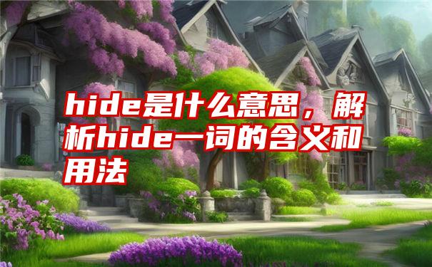 hide是什么意思，解析hide一词的含义和用法