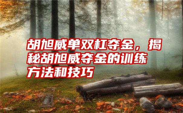 胡旭威单双杠夺金，揭秘胡旭威夺金的训练方法和技巧