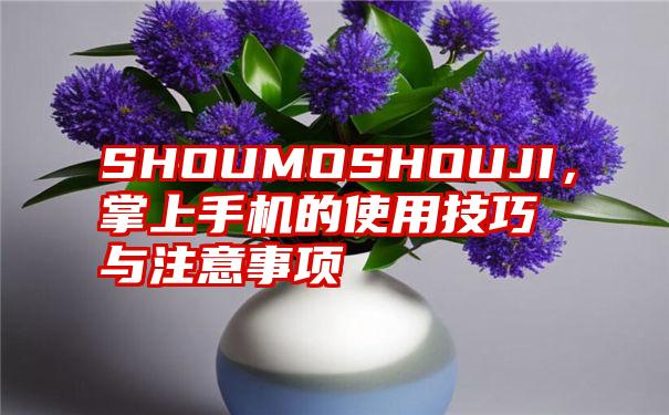 SHOUMOSHOUJI，掌上手机的使用技巧与注意事项