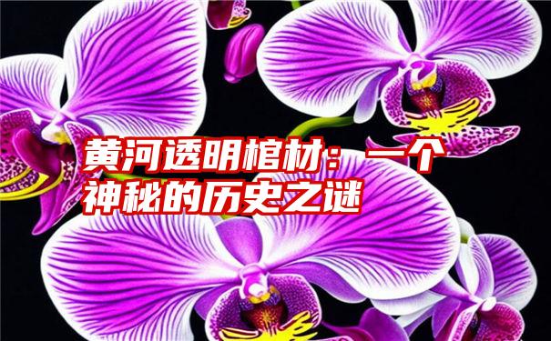 黄河透明棺材：一个神秘的历史之谜