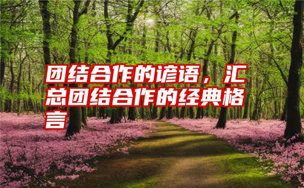 团结合作的谚语，汇总团结合作的经典格言