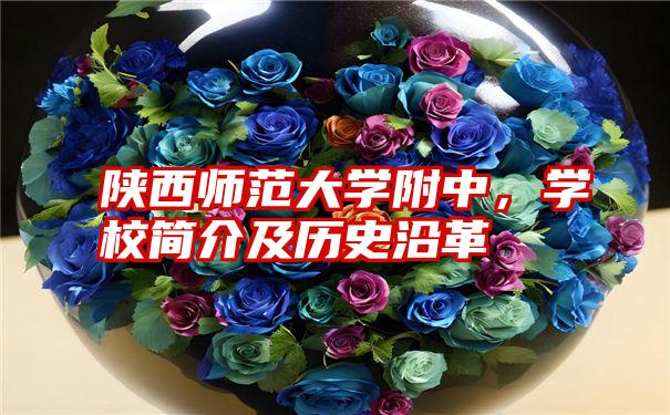 陕西师范大学附中,学校简介及历史沿革