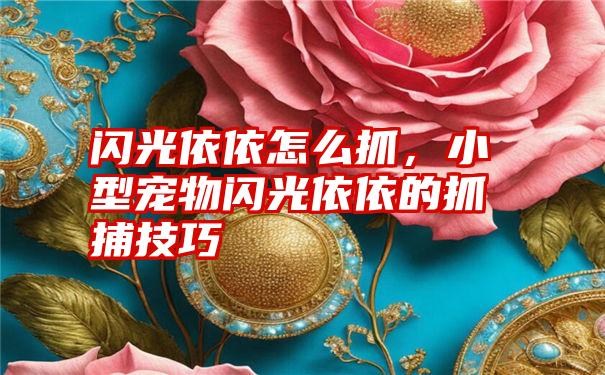 闪光依依怎么抓,小型宠物闪光依依的抓捕技巧