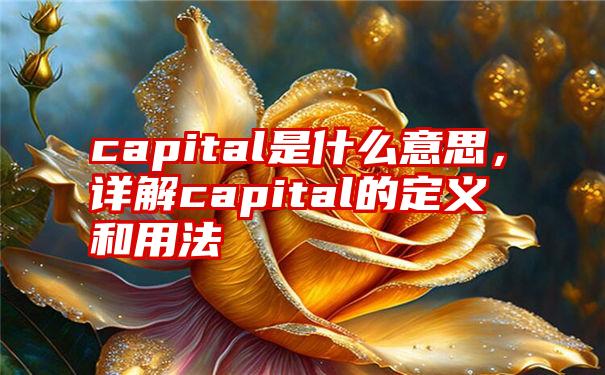 capital是什么意思，详解capital的定义和用法