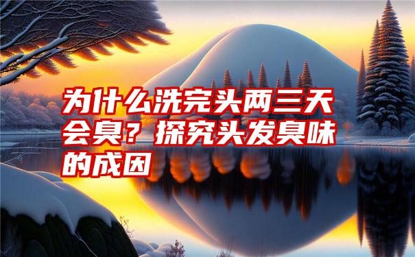 为什么洗完头两三天会臭？探究头发臭味的成因