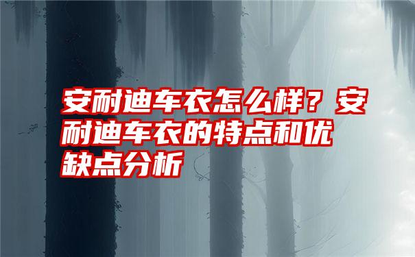 安耐迪车衣怎么样？安耐迪车衣的特点和优缺点分析