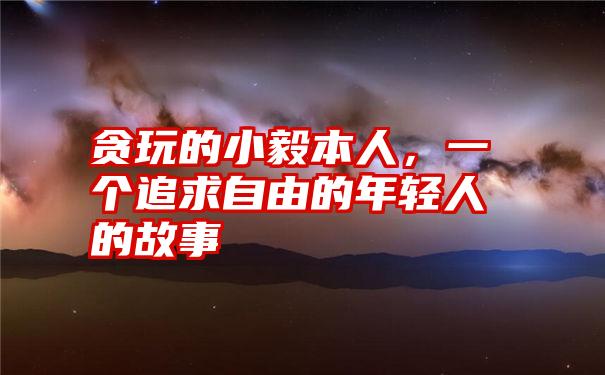 贪玩的小毅本人,一个追求自由的年轻人的故事