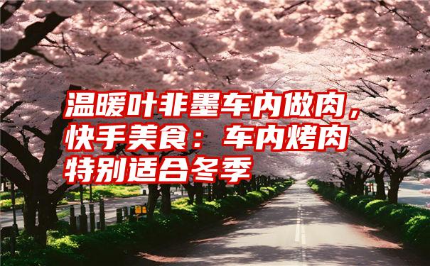 温暖叶非墨车内做肉，快手美食：车内烤肉特别适合冬季