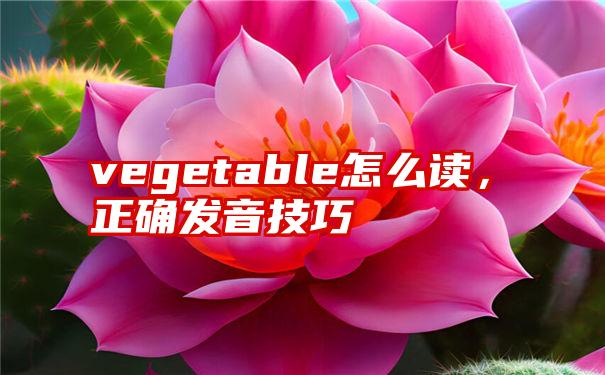 vegetable怎么读，正确发音技巧