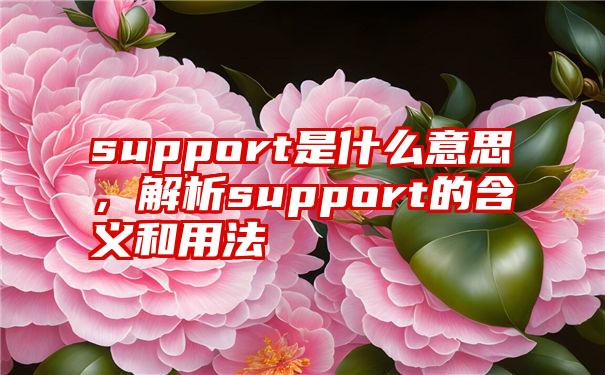 support是什么意思，解析support的含义和用法