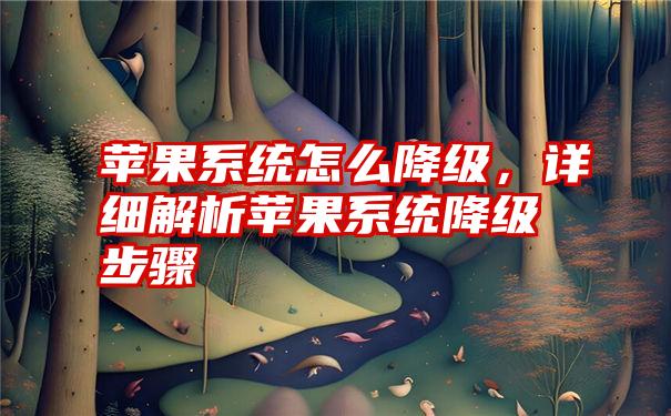 苹果系统怎么降级，详细解析苹果系统降级步骤