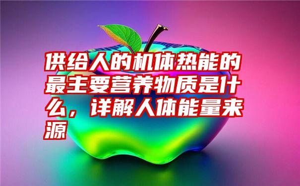 供给人的机体热能的最主要营养物质是什么，详解人体能量来源