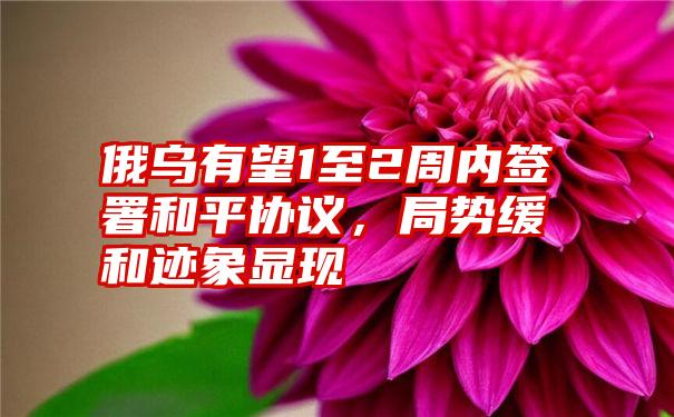 俄乌有望1至2周内签署和平协议,局势缓和迹象显现