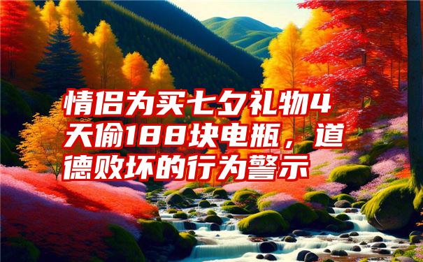 情侣为买七夕礼物4天偷188块电瓶，道德败坏的行为警示