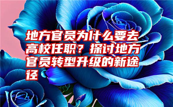 地方官员为什么要去高校任职？探讨地方官员转型升级的新途径