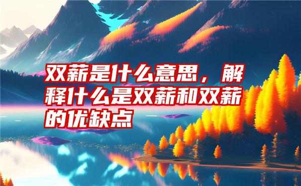 双薪是什么意思，解释什么是双薪和双薪的优缺点