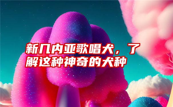 新几内亚歌唱犬,了解这种神奇的犬种