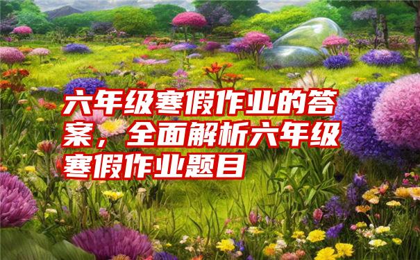 六年级寒假作业的答案，全面解析六年级寒假作业题目