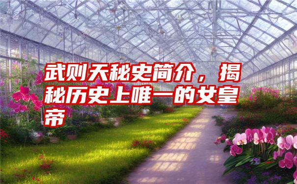 武则天秘史简介,揭秘历史上唯一的女皇帝