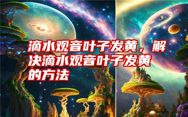 滴水观音叶子发黄，解决滴水观音叶子发黄的方法