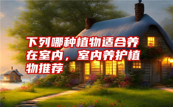 下列哪种植物适合养在室内,室内养护植物推荐