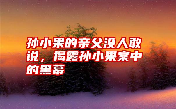 孙小果的亲父没人敢说，揭露孙小果案中的黑幕