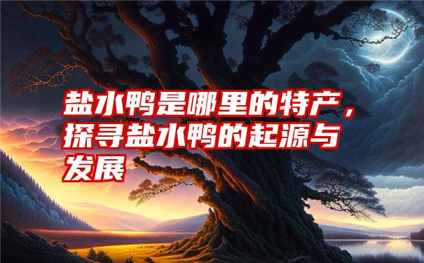 盐水鸭是哪里的特产，探寻盐水鸭的起源与发展