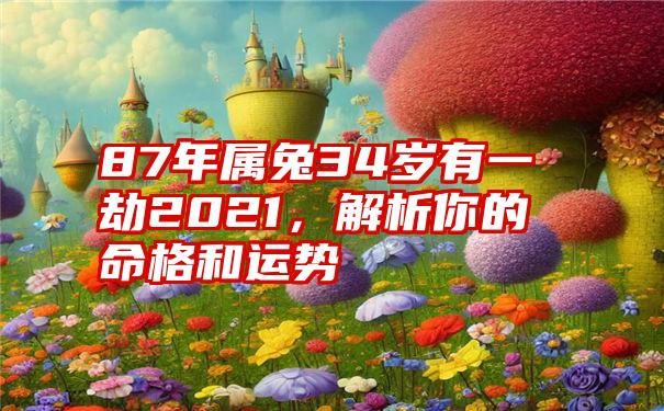 87年属兔34岁有一劫2021，解析你的命格和运势