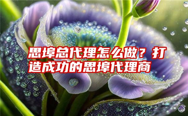 思埠总代理怎么做？打造成功的思埠代理商