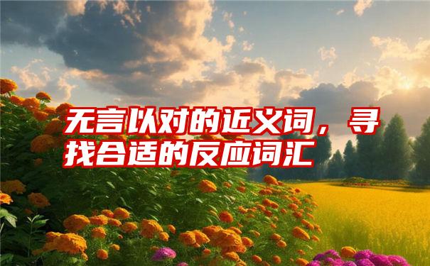 无言以对的近义词,寻找合适的反应词汇
