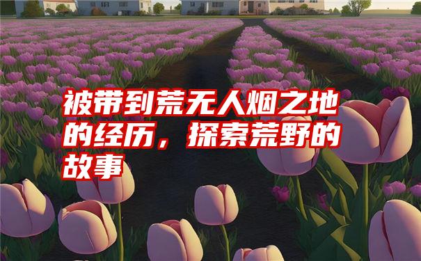 被带到荒无人烟之地的经历,探索荒野的故事