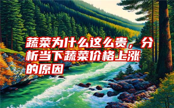 蔬菜为什么这么贵，分析当下蔬菜价格上涨的原因