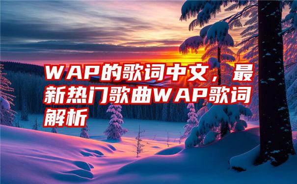 WAP的歌词中文，最新热门歌曲WAP歌词解析