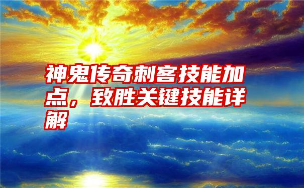 神鬼传奇刺客技能加点，致胜关键技能详解