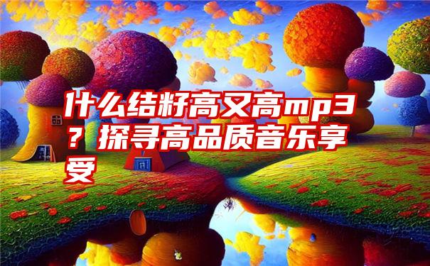 什么结籽高又高mp3？探寻高品质音乐享受