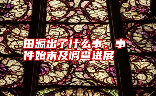 田源出了什么事,事件始末及调查进展