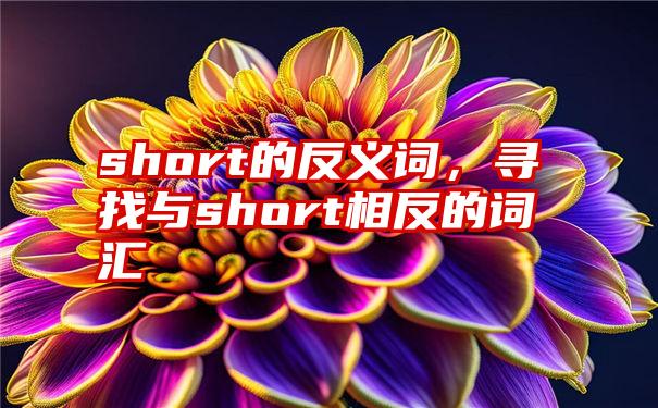 short的反义词，寻找与short相反的词汇