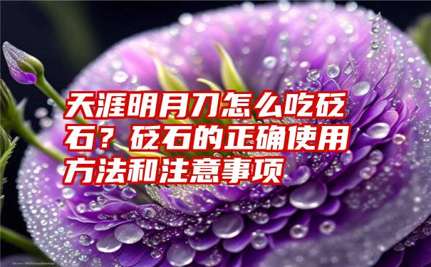 天涯明月刀怎么吃砭石？砭石的正确使用方法和注意事项