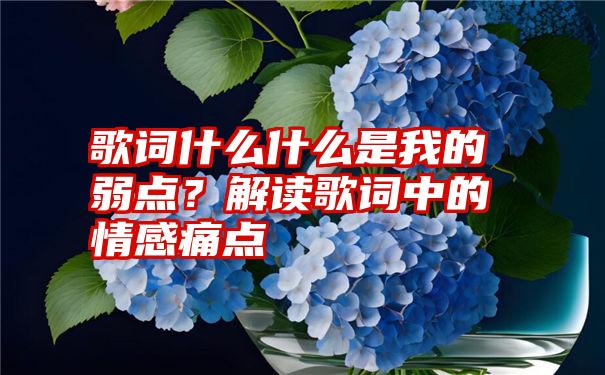 歌词什么什么是我的弱点？解读歌词中的情感痛点