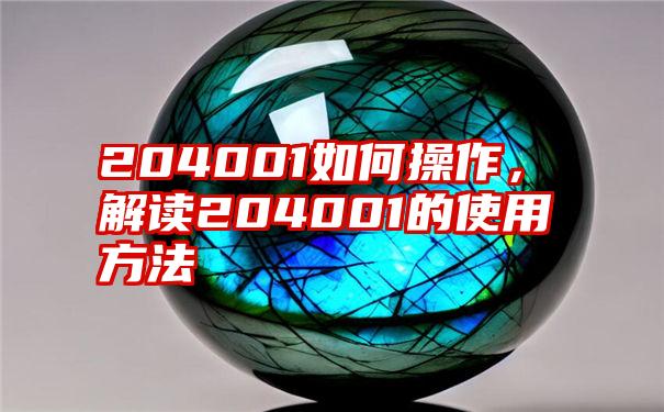 204001如何操作，解读204001的使用方法