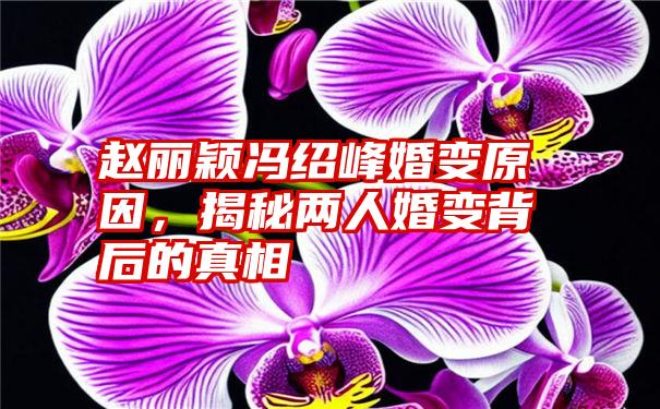 赵丽颖冯绍峰婚变原因，揭秘两人婚变背后的真相