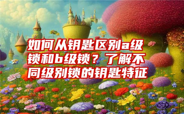 如何从钥匙区别a级锁和b级锁？了解不同级别锁的钥匙特征