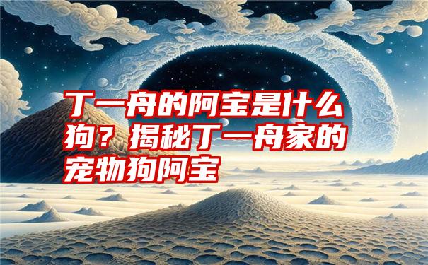 丁一舟的阿宝是什么狗？揭秘丁一舟家的宠物狗阿宝