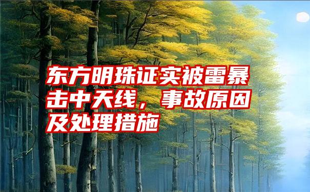 东方明珠证实被雷暴击中天线，事故原因及处理措施