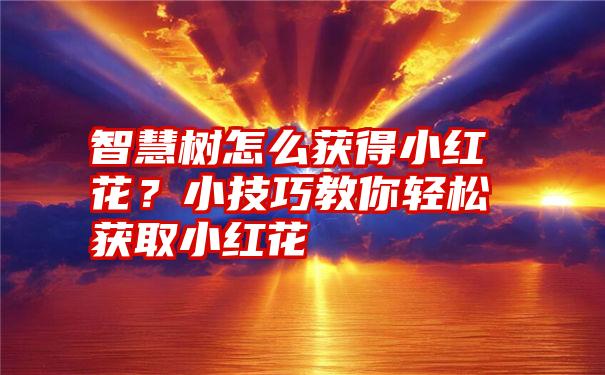 智慧树怎么获得小红花？小技巧教你轻松获取小红花