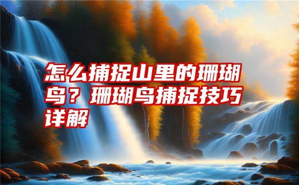 怎么捕捉山里的珊瑚鸟？珊瑚鸟捕捉技巧详解