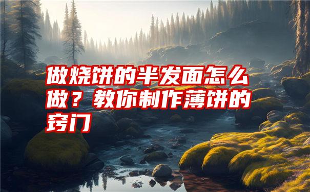 做烧饼的半发面怎么做？教你制作薄饼的窍门