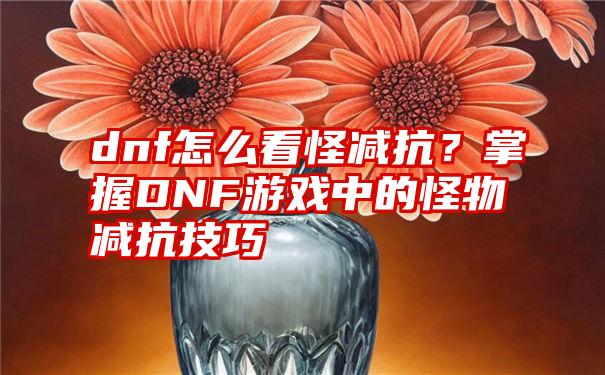 dnf怎么看怪减抗？掌握DNF游戏中的怪物减抗技巧